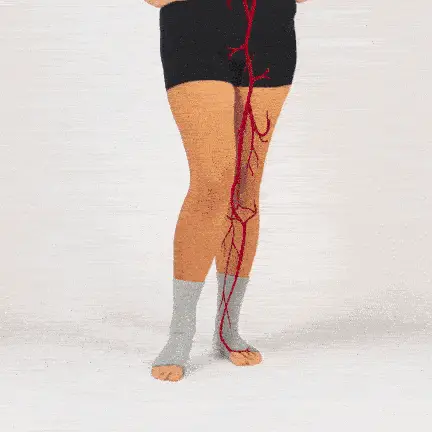Better circulation